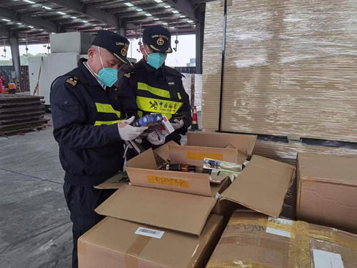 集裝箱里的“百貨公司” 外港海關查獲夾藏零售消費品258箱